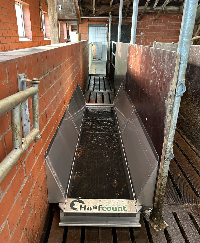 Beispielbild eines Klauenbades von Hoofcount