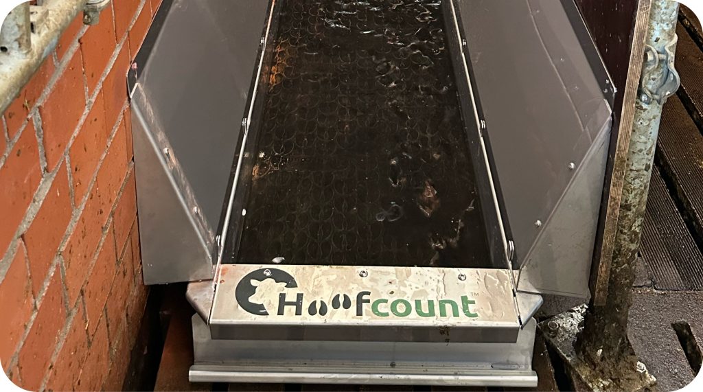 Klauenbad Excel von Hoofcount Deutschland